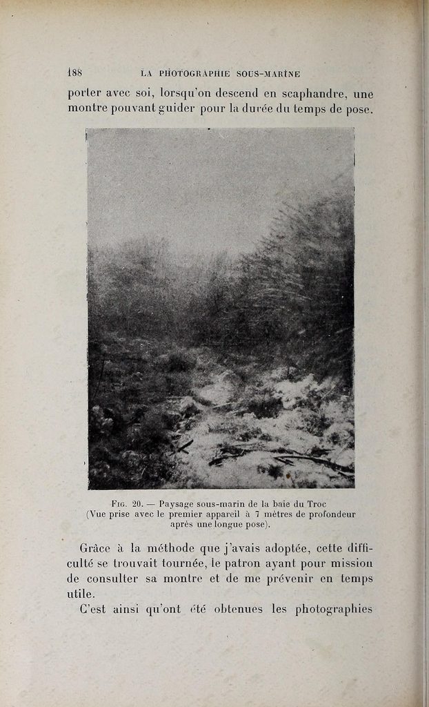 Boksida med ett svartvitt fotografi i högformat som visar en diffus undervattensscen med mörka tuvor och ljusare partier, utan tydliga konturer. Under bilden en tryckt bildtext på franska.