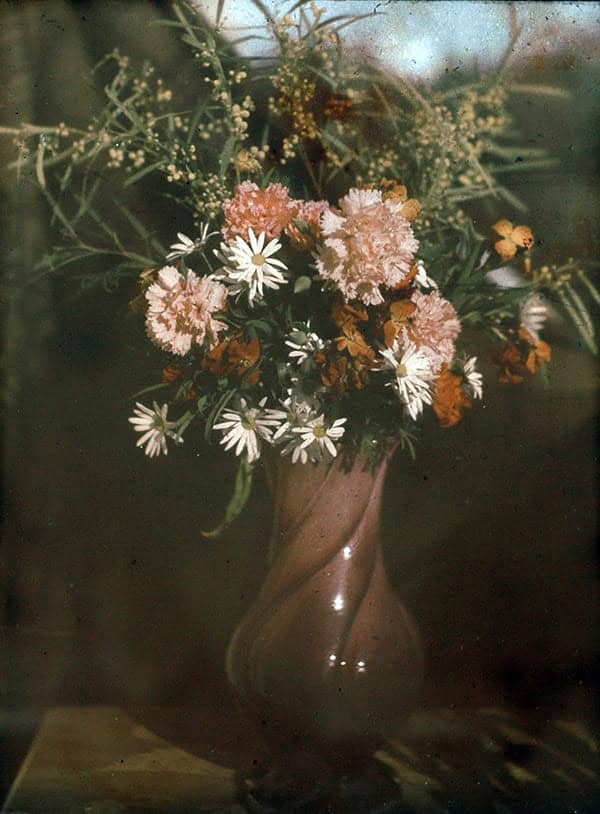 Interferensfotografi i färg av en bukett vita och rosa blommor i en vas