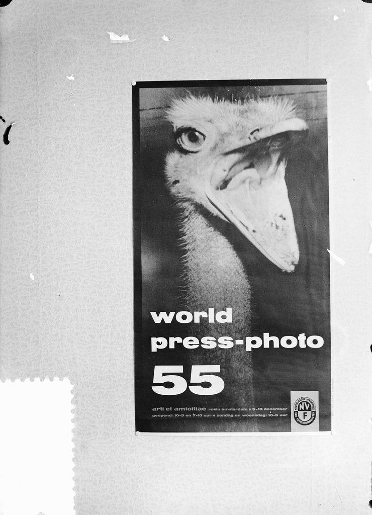 Svartvit affisch uppsatt på en mönstrad vägg, med en närbild av en struts med öppen näbb och texten world press-photo 55, Arti et Amicitiae, Rokin Amsterdam, 3 till 13 december, samt ett runt föreningsmärke med bokstäverna NVF.